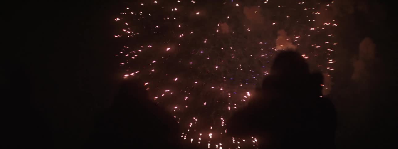 Fireworks in the night sky