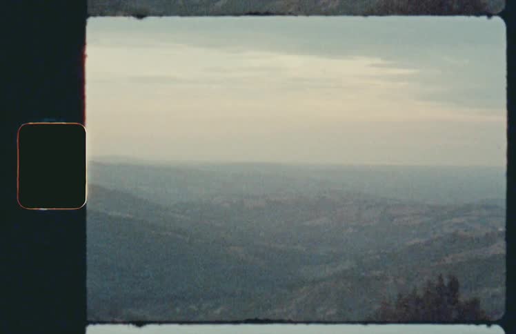 The hills and trees in the landscape