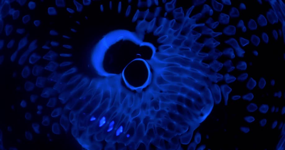 A close up of fractals