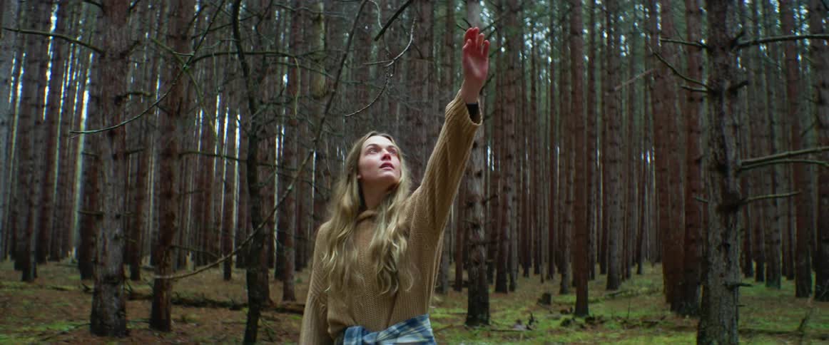 Young blonde woman walking on the forest reachs out to touch a branch