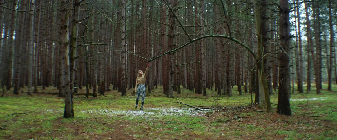 Female person with a flannel shirt tied around her waist walks through a forest of trees