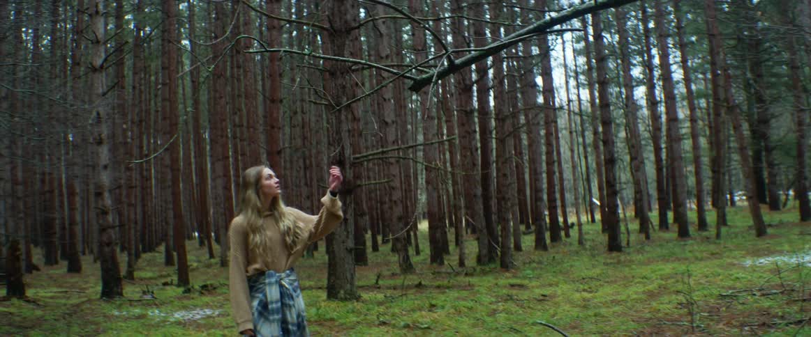 A woman looking at a bare tree branch while hiking alone in a forest