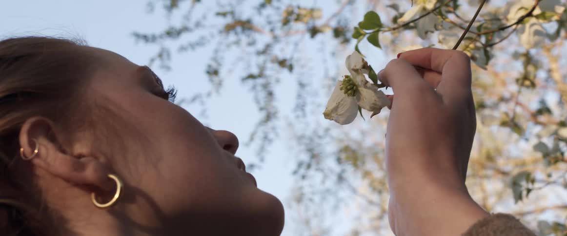 A young woman smelling blossoms on a tree on a spring day