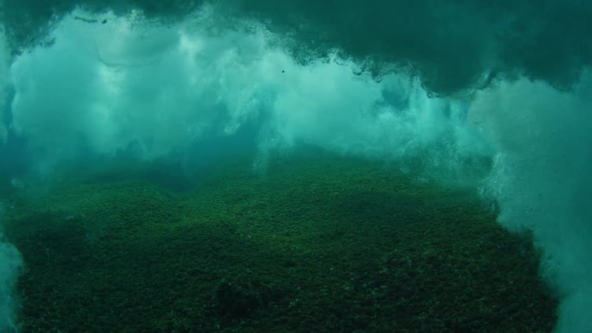 Large bubbles and waves rolling over vegetation underwater