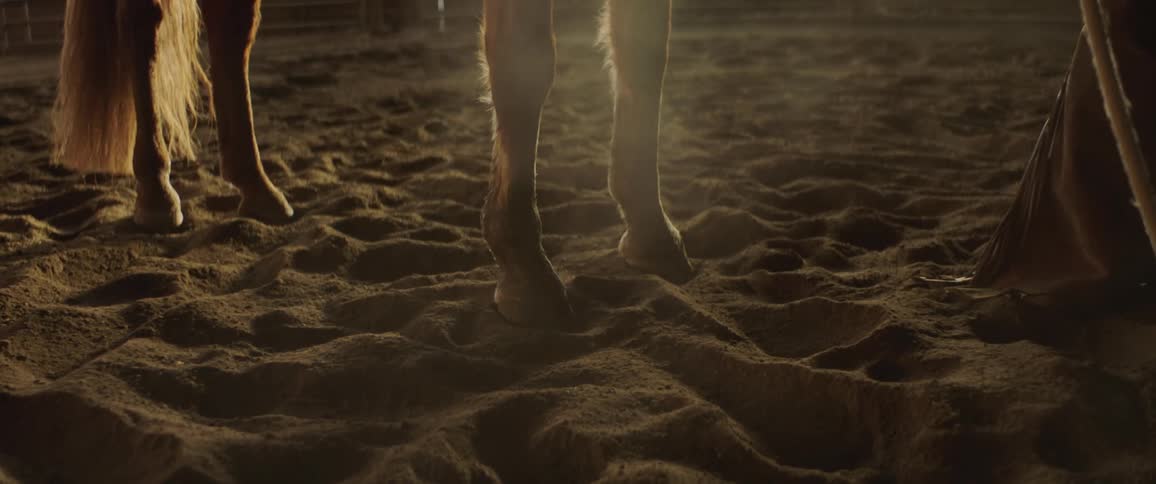 A horses hooves and legs moving in sand next to a cowboys foot and rope