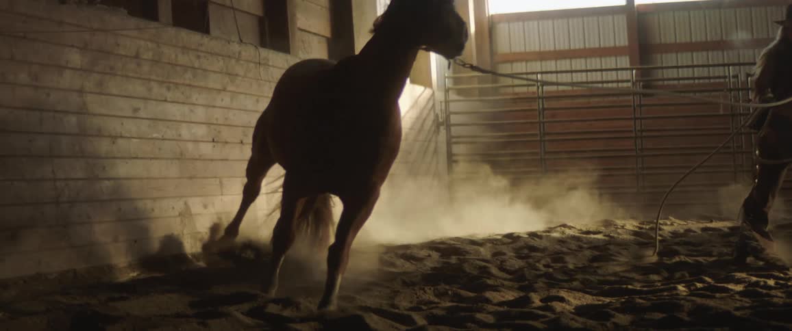 Cowgirl training a horse inside a stable at morning