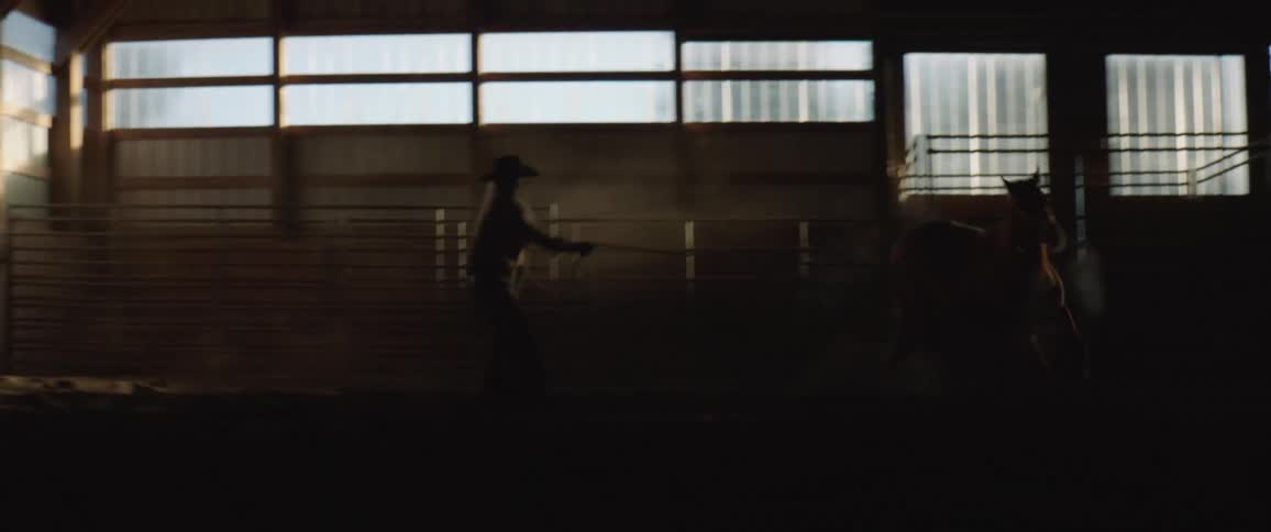 A person holds a rope that is on a horse running in a large stable