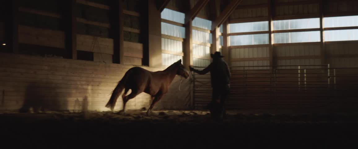 A horse galloping around a cowgirl with a lasso in a barn