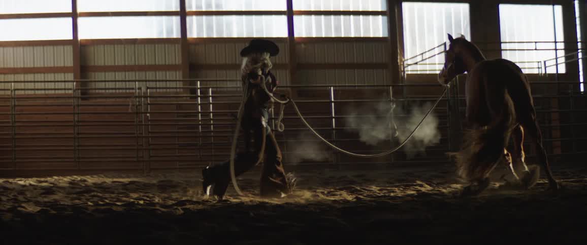 A person with a hat chasing a horse on a rope with a wall and windows in the background