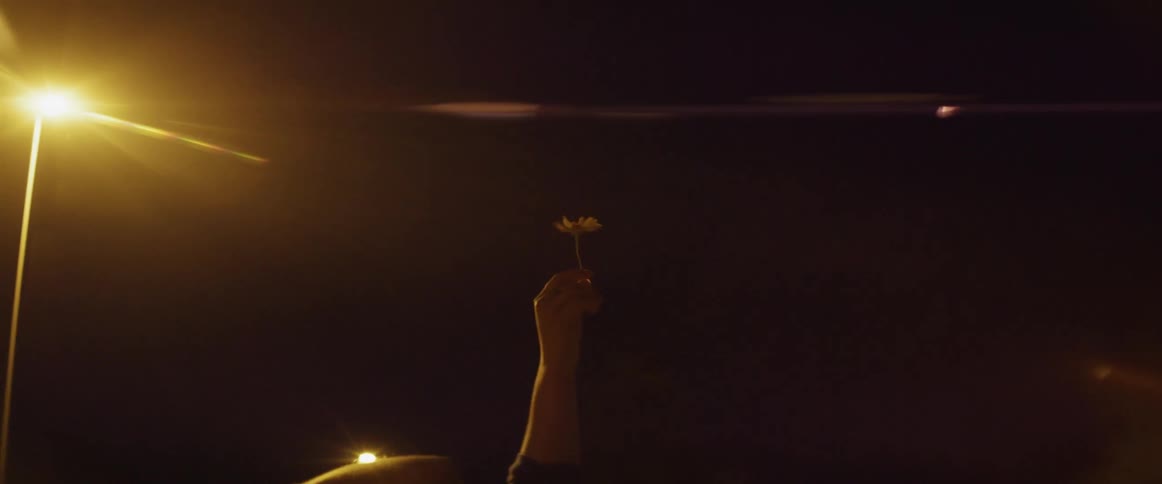 Two people looking and pointing at a night sky while lying on the ground outside