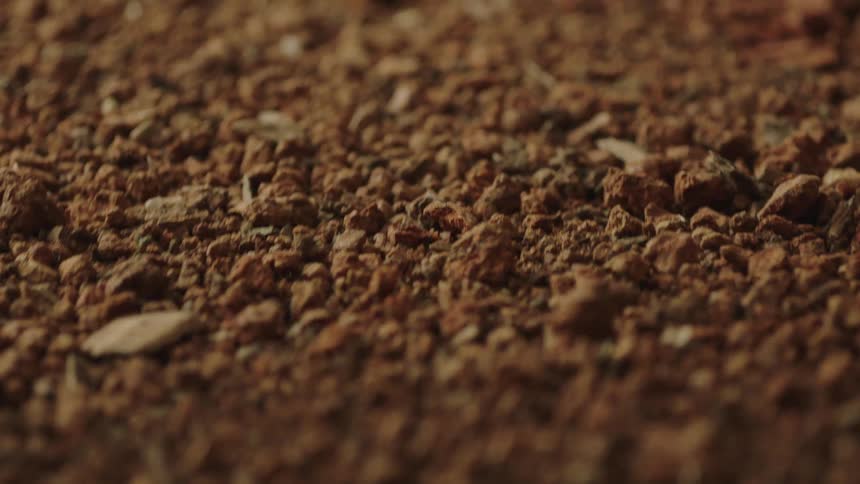 Brown and tan clumps and particles tremble and shake