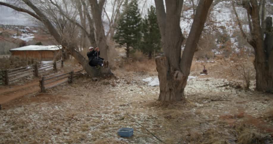 A man swinging on a tree swing