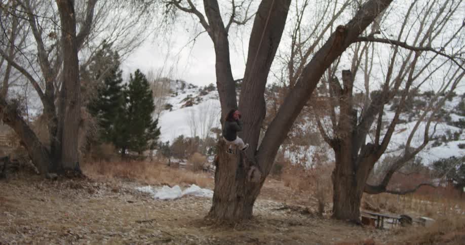 A woman using a swing hanging from a tree in the countryside