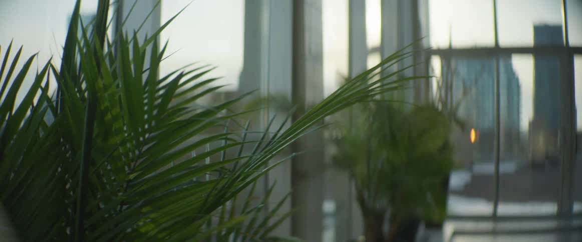 Lush green plants fill the lobby of a downtown building with large windows showing the city skyline