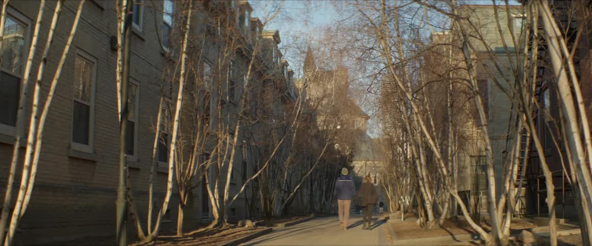 People walking in a city with trees and buildings with the sky and clouds in the background