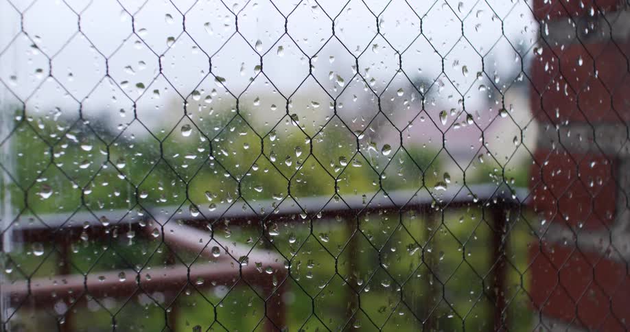 Raindrops clinging to a security window