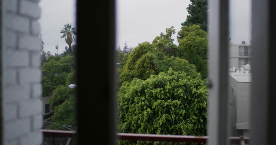 A balcony overlooking tree tops