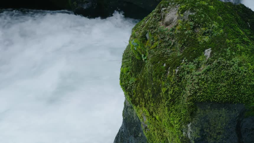 Green moss growing on the rocks on the banks of a river in this static shot showing clean clear water rushing by