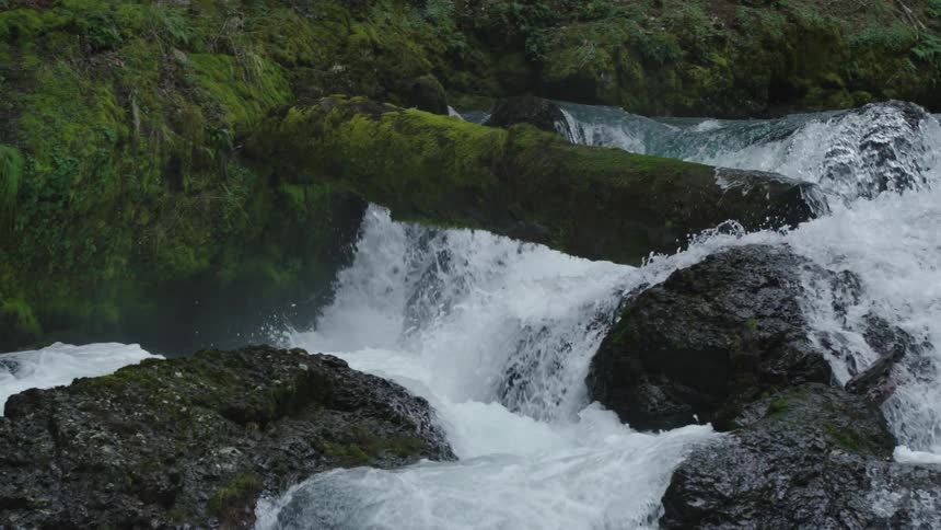 Slow motion shot of a man in a red whitewater kayak paddling underneath a moss covered log deep in the Cascade Mountains in a river canyon
