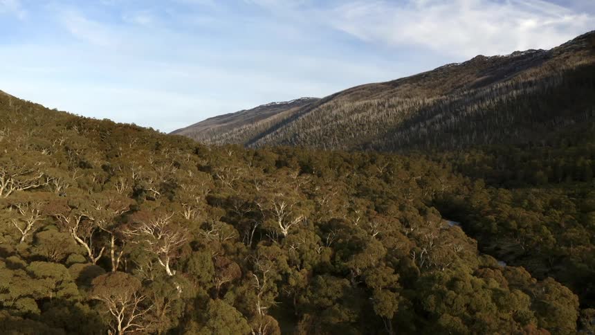 Mountains covered with forests under a cloudy sky