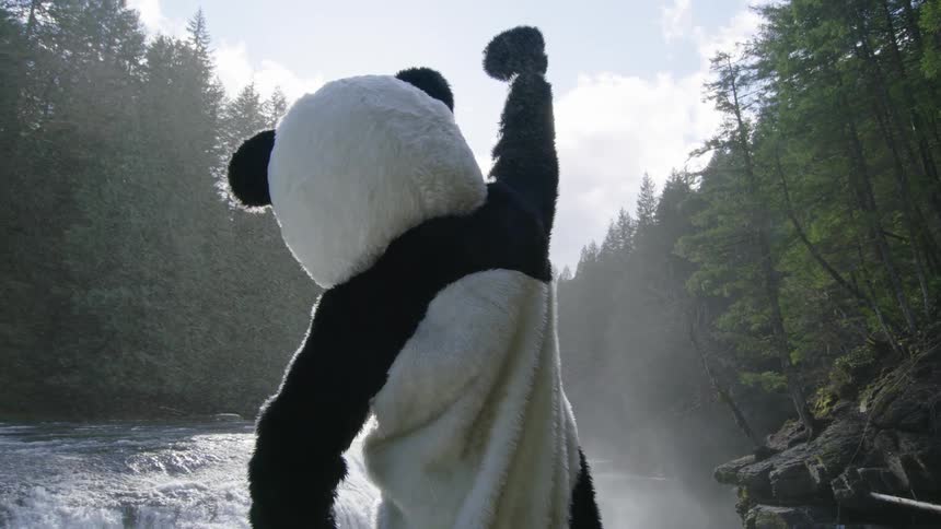 Whats better than a fist pump? Well we have to think a panda fist pump might be better as you can clearly see in this magical shot