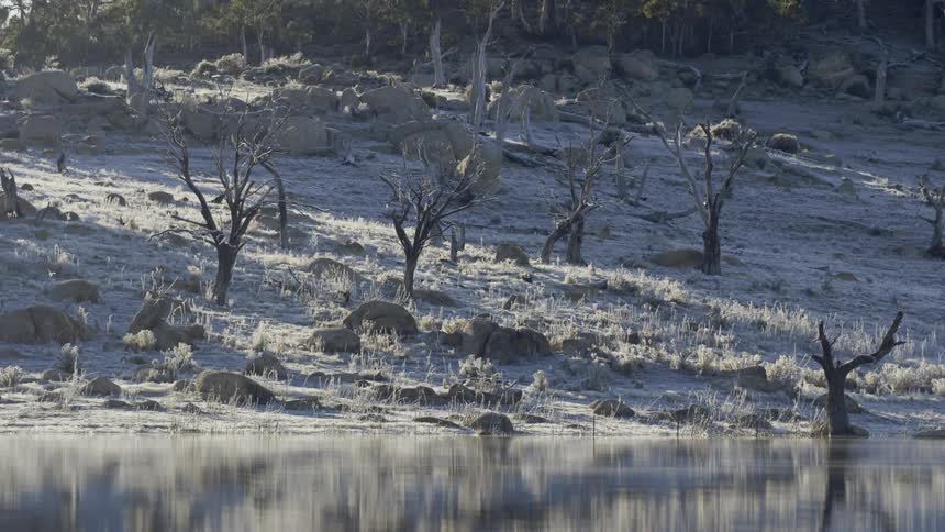 The water surface shimmers and reflects the rocks grass and dead trees