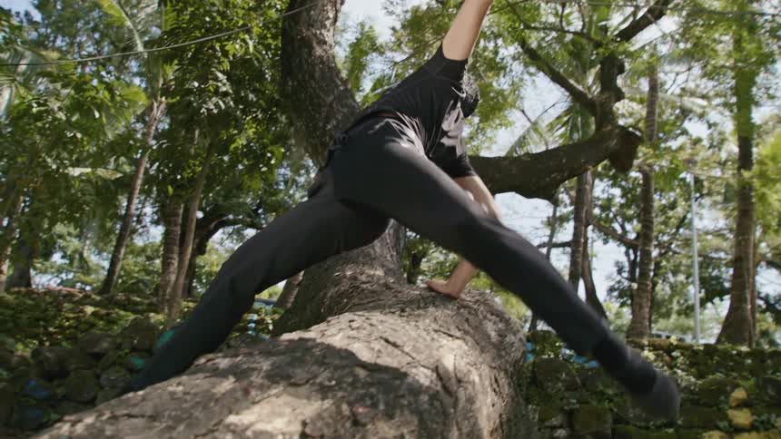 Ballet dancer leaping over a tree trunk