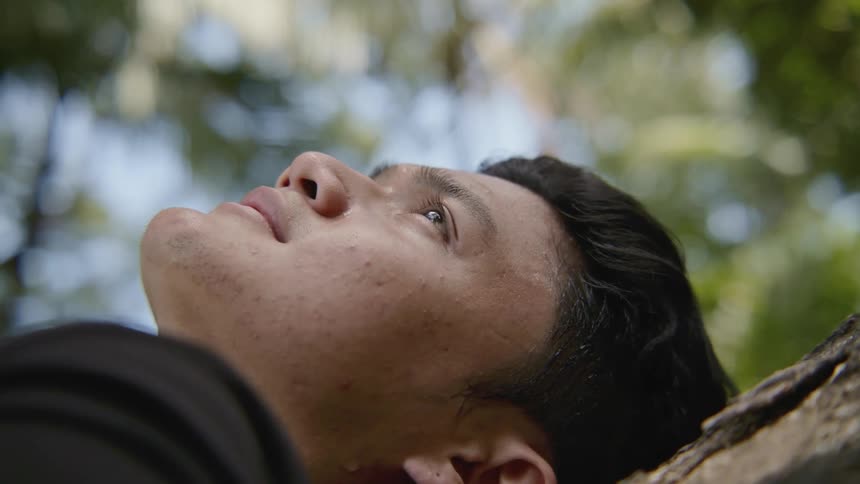 A man lying outside beneath a tree on a summer day