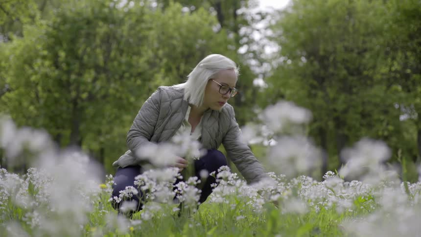 White haired woman picking wildflowers alone in a calm spring meadow.