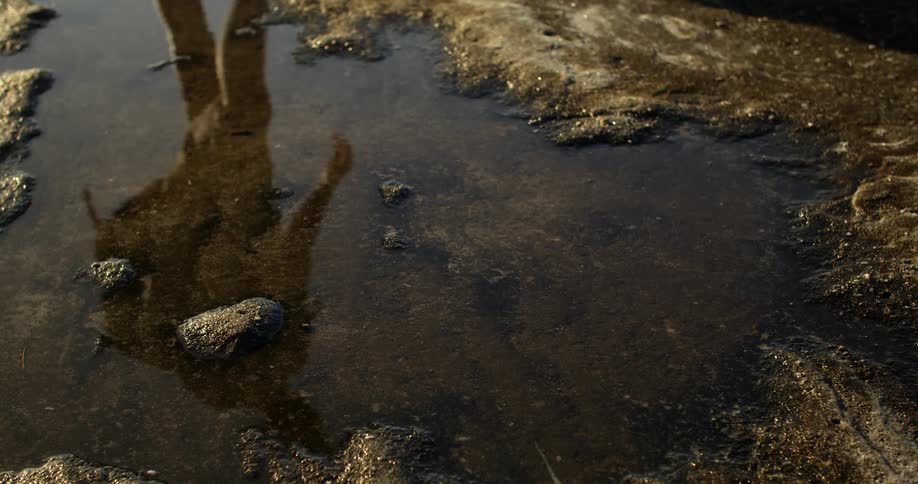A puddle of water outdoors shows the reflection of a person walking by wearing a backpack