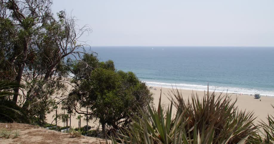 A large beach has some trees on a hill