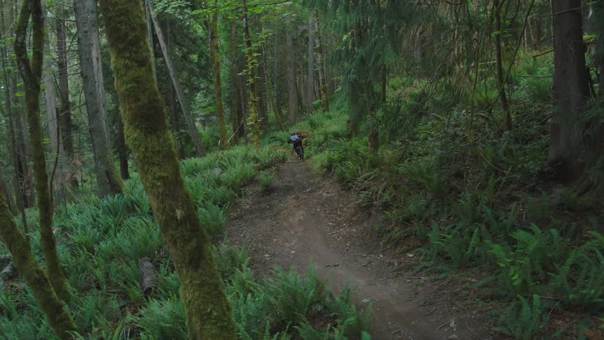 A cyclist rides a bicycle at high speed along a trail in a forest during the day