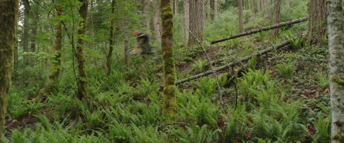 A person jumping down a forest trail on a mountain bike