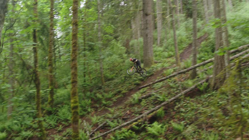 Man jumping a bicycle down hill on a trail through a green forest