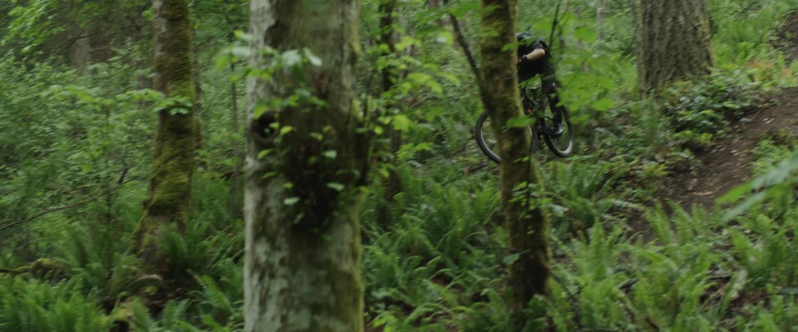 Man jumps bicycle down dirt track in forest past ferns and trees