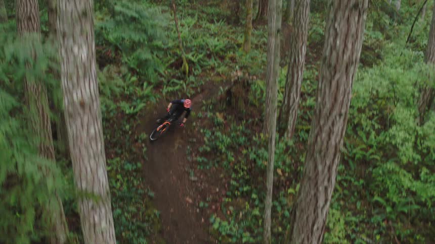 A cyclist rides a mountain bike at high speed along a winding dirt trail through a forest during the day