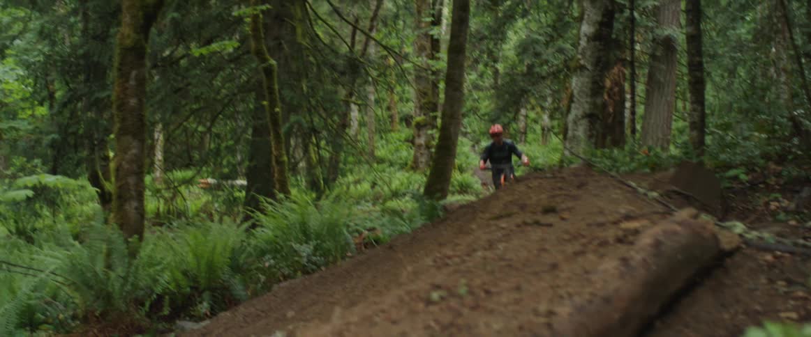 A person with a helmet riding a mountain bike in a forest with trees hits jump and corners