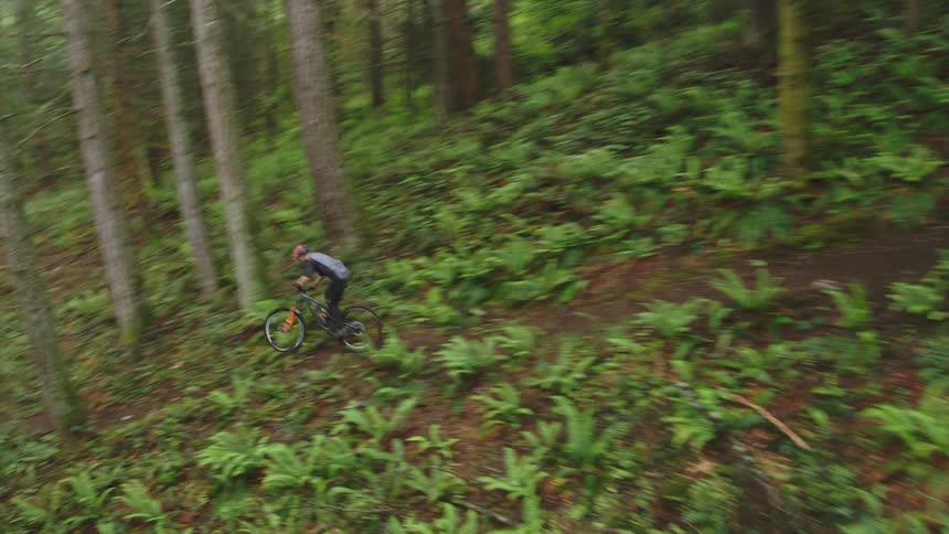 Aerial view of a person riding a mountain bike down a dirt trail in a forest