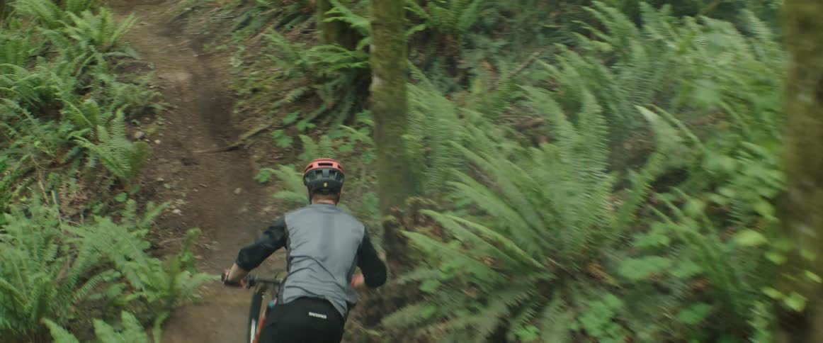 A man on a mountain bike races down a technical trail through a ferny forest