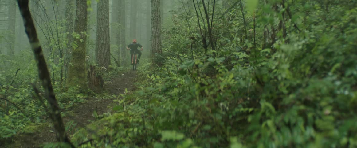 Man riding a bicycle in the fog down hill on a trail through the lush forest