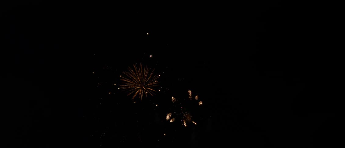 Fireworks exploding in the night sky