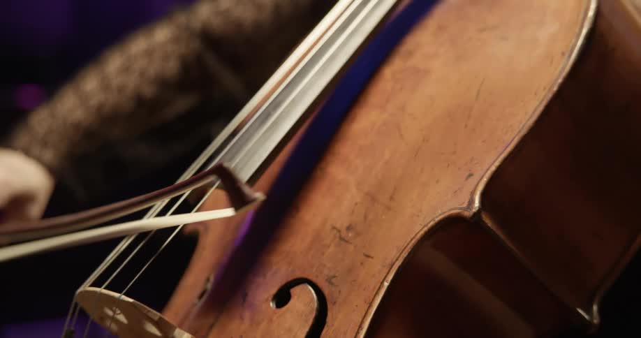 A person playing a string instrument with a bow