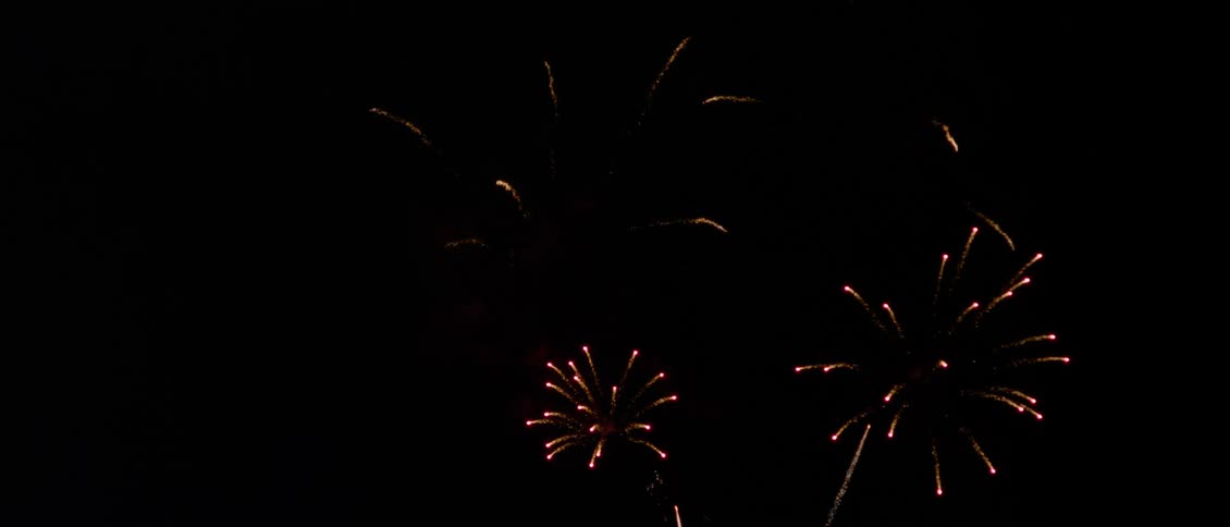 Fireworks exploding in the dark night sky