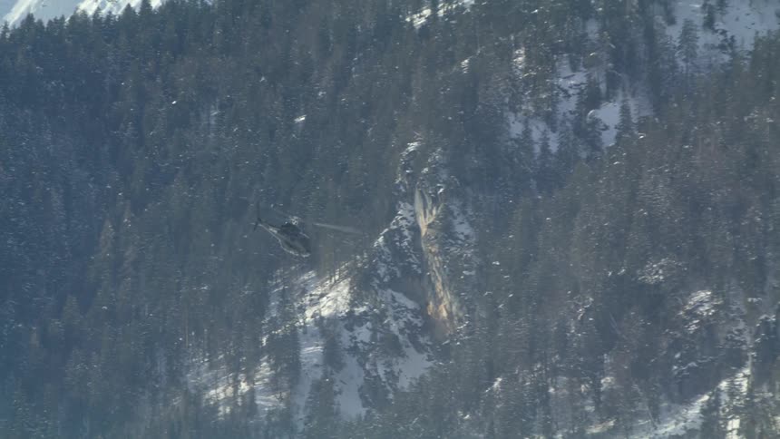 Helicopter flies over snow and conifer forest covered mountain slope
