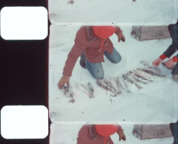 Two boys count fish theyve caught by lining them up on snow covered ground