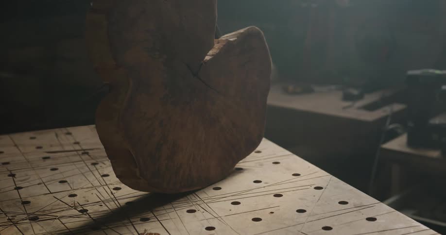 A cut tree trunk sits in a shop