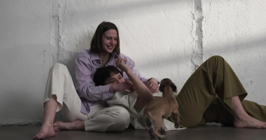 A man and woman are playing with a dog indoors