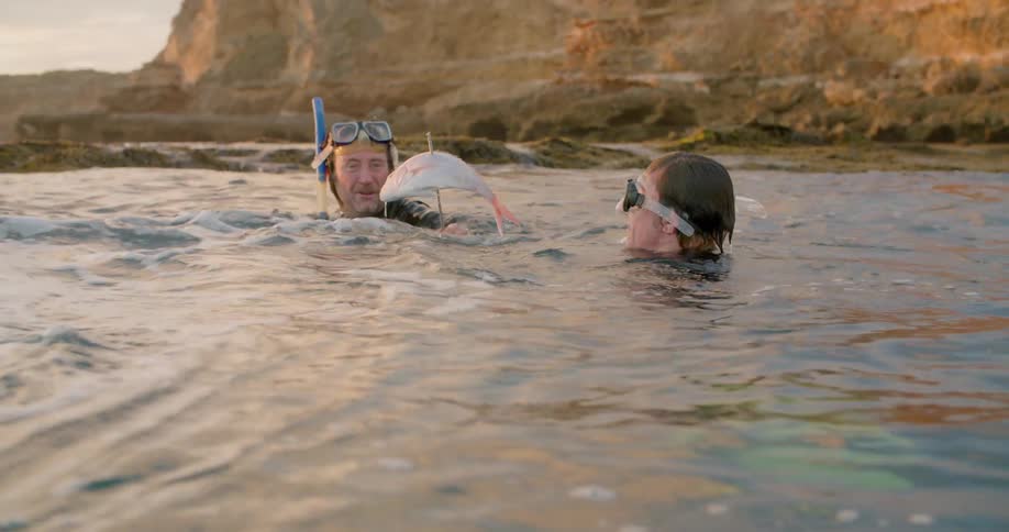 Father and son spearfishing in ocean water in the daytime