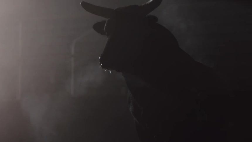 Bull energetically moving inside a dimly lit foggy stable