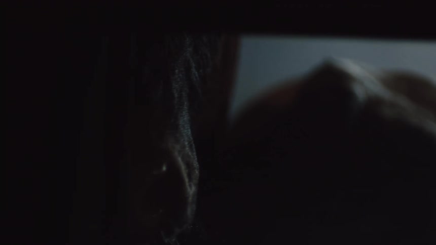 Bulls nose with salvia is silhouetted in the stable